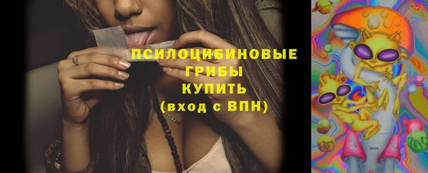 герыч Дмитров
