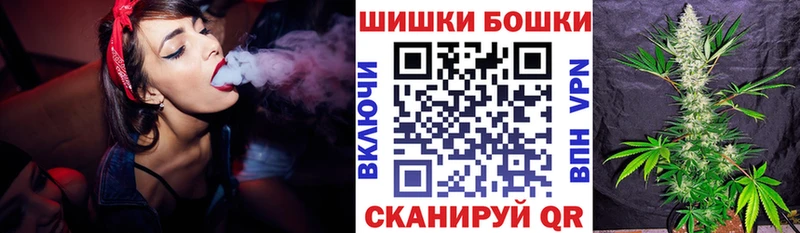 Марихуана сатива  купить наркоту  Новосибирск 